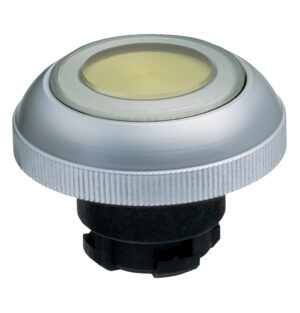 Кнопочный выключатель Schmersal RDLGB